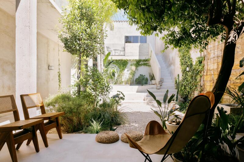 OASIS - imagen número 2